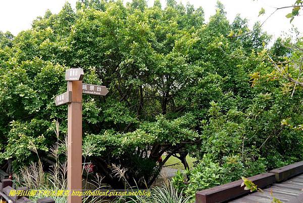 P1640422.jpg P1640422.jpg