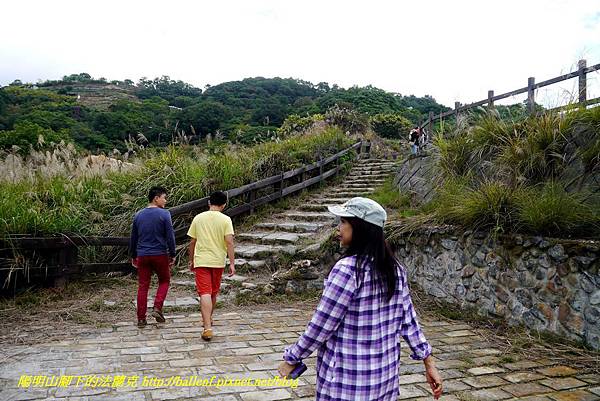 P1640452.jpg P1640452.jpg