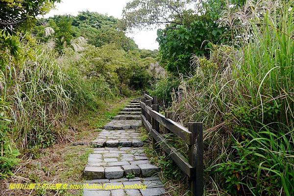 P1640473.jpg P1640473.jpg