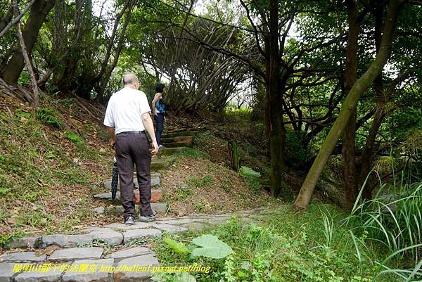 P1640478.jpg P1640478.jpg