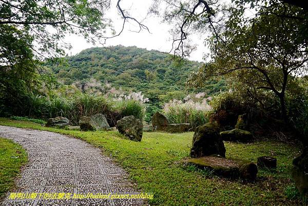 P1640480.jpg P1640480.jpg