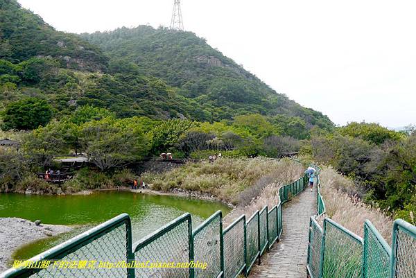 P1640513.jpg P1640513.jpg