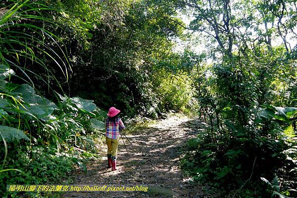 P1640525.jpg P1640525.jpg