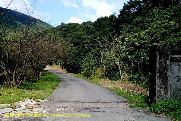 P1640523.jpg P1640523.jpg