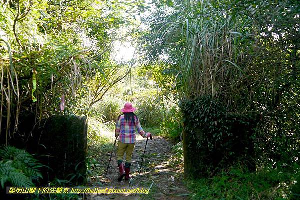 P1640526.jpg P1640526.jpg