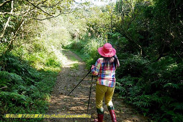 P1640527.jpg P1640527.jpg