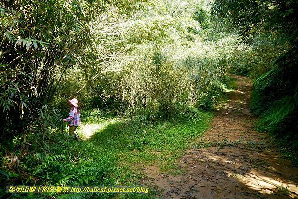 P1640529.jpg P1640529.jpg