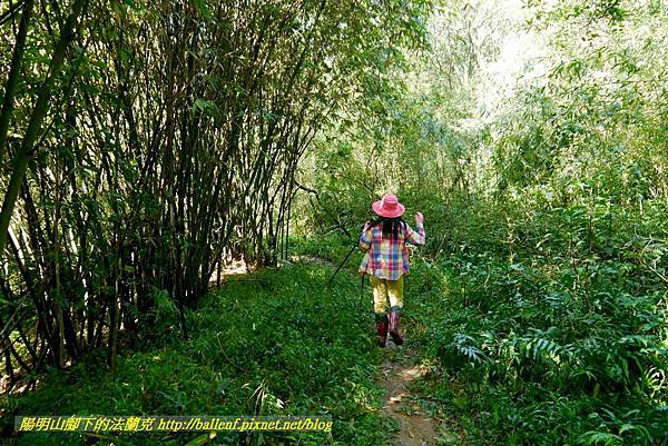 P1640531.jpg P1640531.jpg