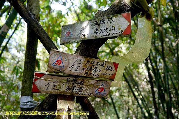 P1640530.jpg P1640530.jpg