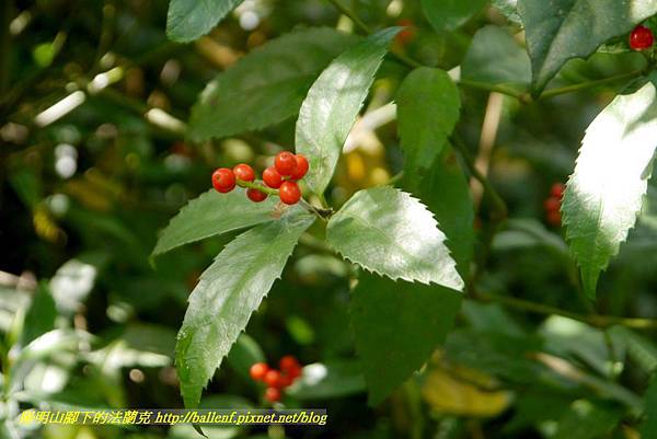 P1640532.jpg P1640532.jpg