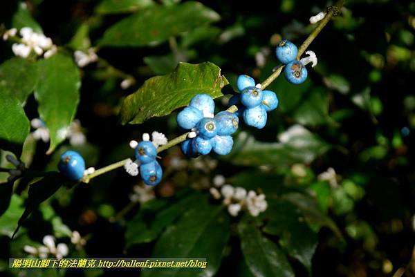 P1640534.jpg P1640534.jpg