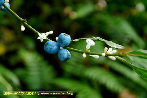 P1640536.jpg P1640536.jpg