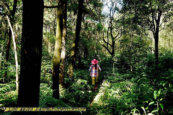 P1640542.jpg P1640542.jpg