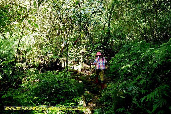 P1640544.jpg P1640544.jpg