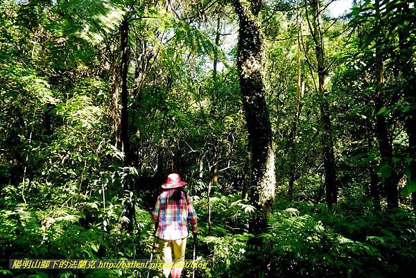 P1640546.jpg P1640546.jpg