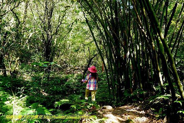 P1640547.jpg P1640547.jpg