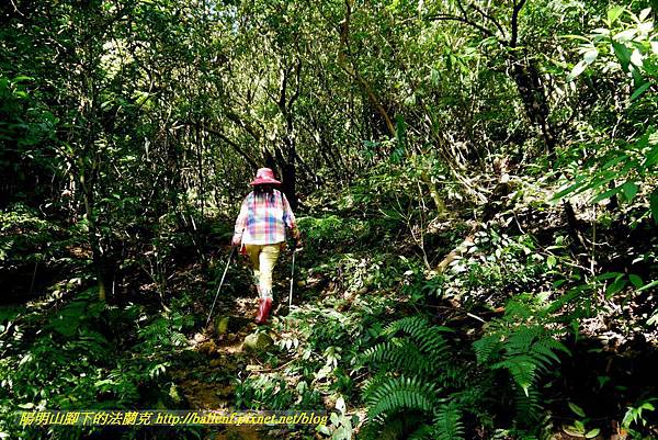 P1640548.jpg P1640548.jpg