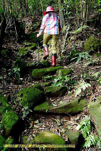 P1640549.jpg P1640549.jpg