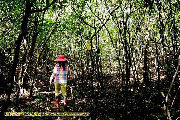 P1640550.jpg P1640550.jpg