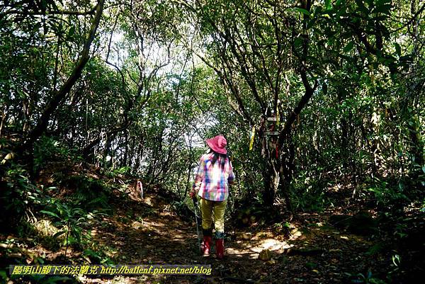 P1640551.jpg P1640551.jpg