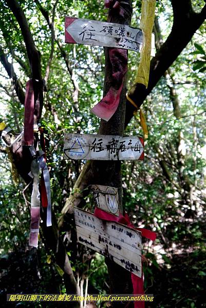 P1640552.jpg P1640552.jpg