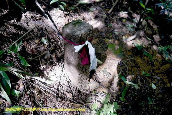 P1640553.jpg P1640553.jpg