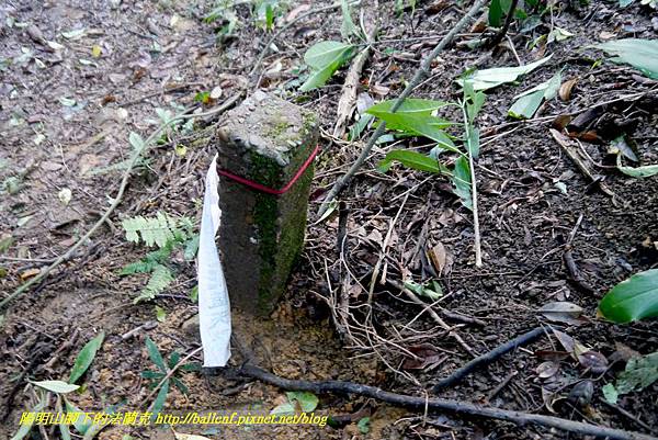 P1640554.jpg P1640554.jpg