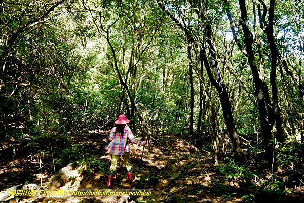 P1640557.jpg P1640557.jpg