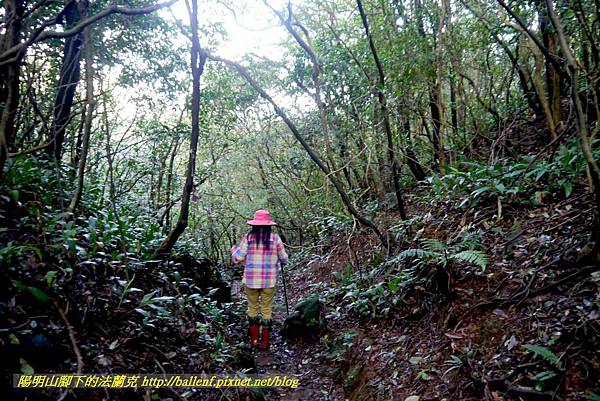 P1640555.jpg P1640555.jpg