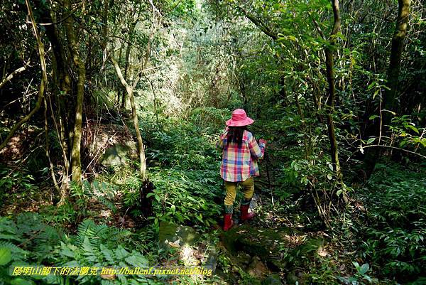 P1640558.jpg P1640558.jpg