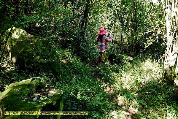 P1640560.jpg P1640560.jpg