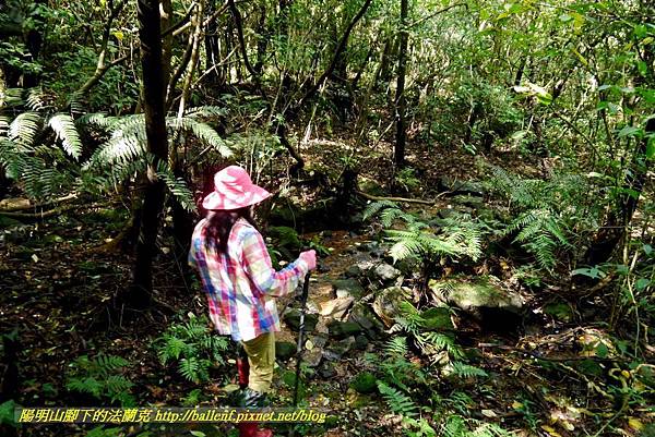 P1640561.jpg P1640561.jpg