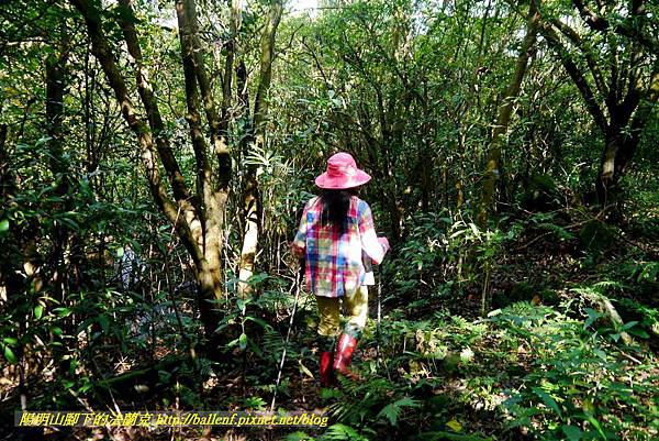 P1640562.jpg P1640562.jpg