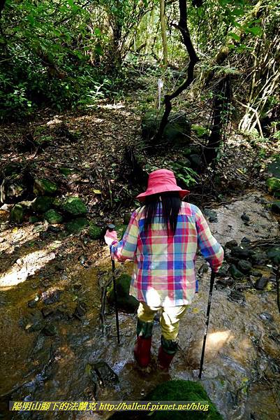 P1640563.jpg P1640563.jpg