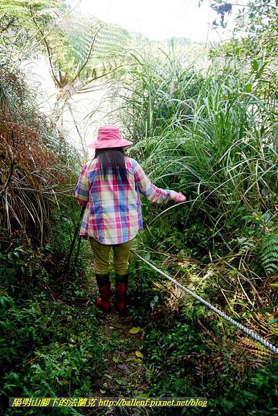 P1640565.jpg P1640565.jpg