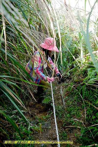 P1640566.jpg P1640566.jpg