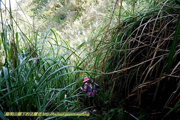 P1640567.jpg P1640567.jpg