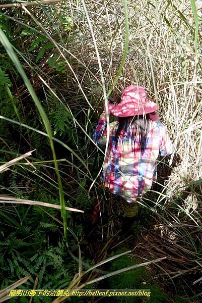 P1640572.jpg P1640572.jpg