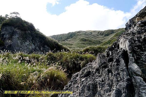 P1640577.jpg P1640577.jpg