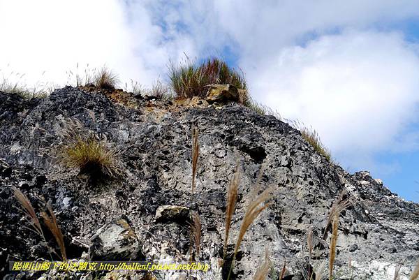 P1640578.jpg P1640578.jpg