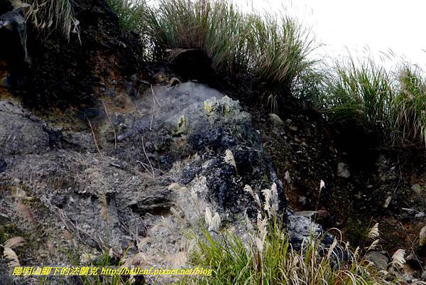 P1640582.jpg P1640582.jpg