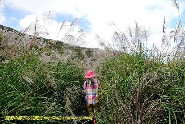 P1640594.jpg P1640594.jpg