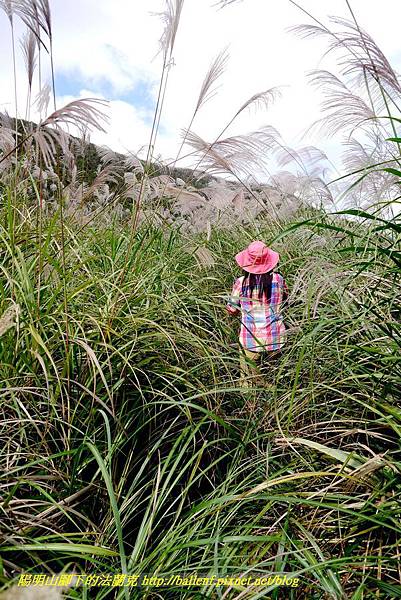 P1640595.jpg P1640595.jpg