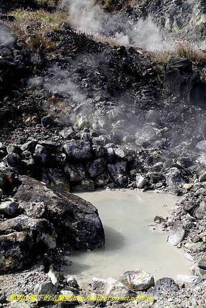 P1640611.jpg P1640611.jpg