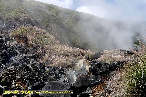 P1640617.jpg P1640617.jpg