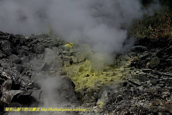 P1640619.jpg P1640619.jpg