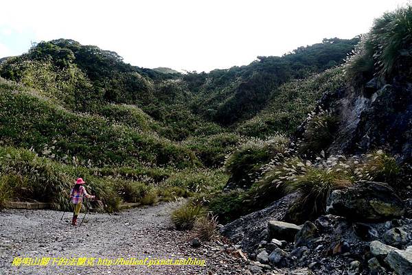 P1640646.jpg P1640646.jpg