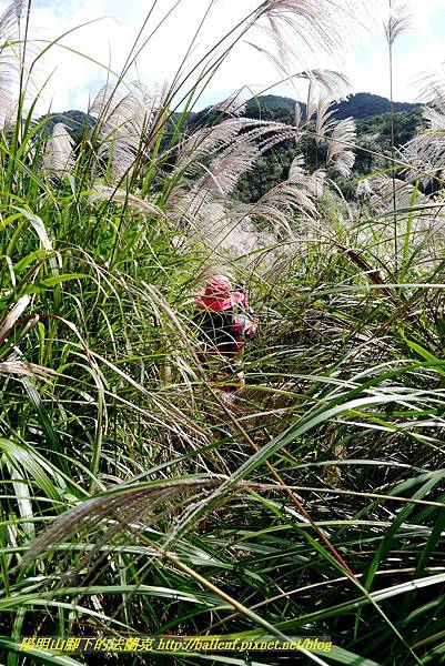 P1640645.jpg P1640645.jpg