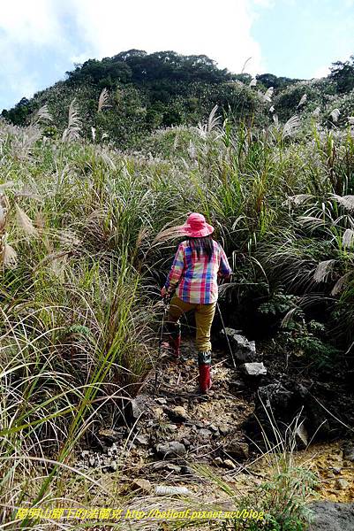 P1640649.jpg P1640649.jpg