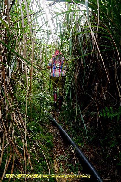 P1640650.jpg P1640650.jpg